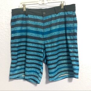 The North Face Men’s Blue Striped Drawstring Swim Shorts
